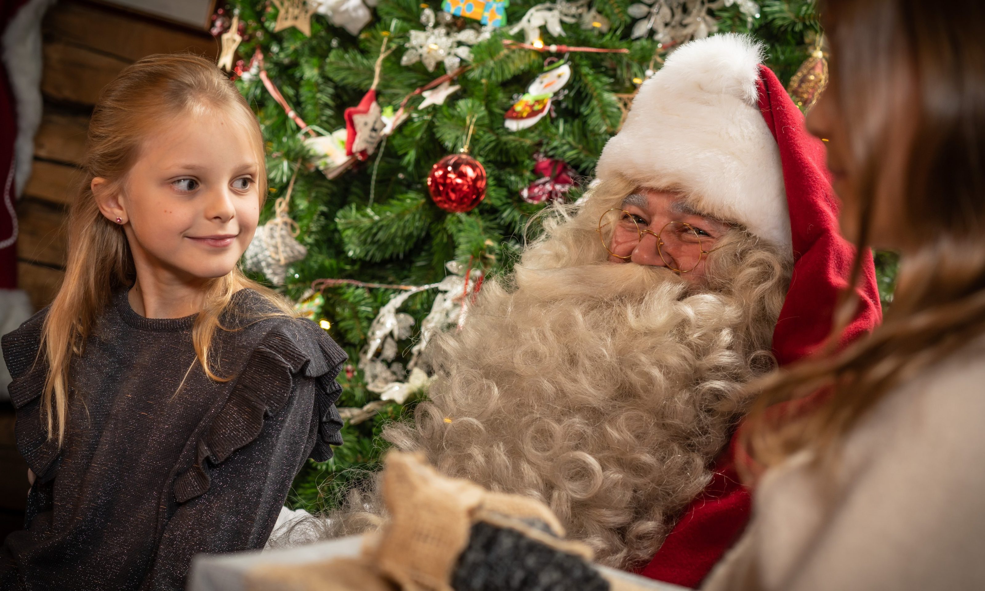 Private meeting with Santa Claus in SantaPark festive dinners.